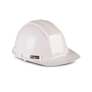 CASCO ECONOMICO MASTER